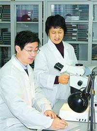 上師大李利珍夫婦采“蟲”30年，發(fā)現(xiàn)330多個(gè)新物種，正編錄一部《本“蟲”綱目》。