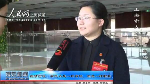 專訪人大代表王黎娜：農(nóng)民不是一種身份，而是一種職業(yè)