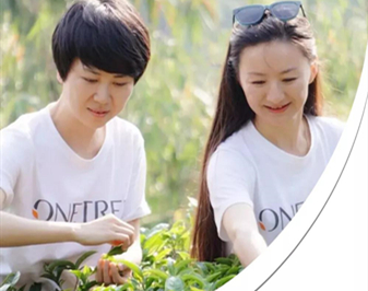  ONETREE(chung)ʼˣ°T  նһڹ݅oĲɽṫcJRʮĺ|һ׶Ȅ(chung)JB(yng)ƷONETREE°҂ġṫһ^Ll(f)ǳ[Ԕ] 