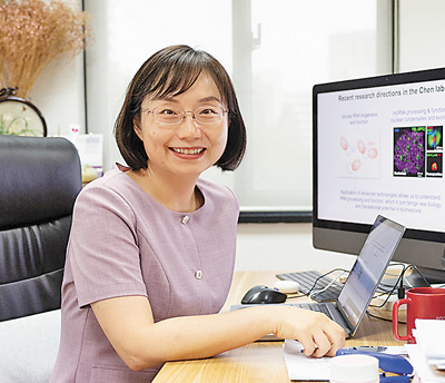 　陳玲玲在中國(guó)科學(xué)院分子細(xì)胞科學(xué)卓越創(chuàng)新中心辦公室。 　　新華社記者 金立旺攝
