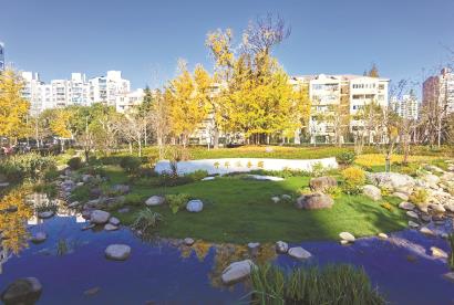 涇南公園內(nèi)的千年古銀杏園是一座園中園，內(nèi)有一棵上千歲的古銀杏。 陳璽撼 攝