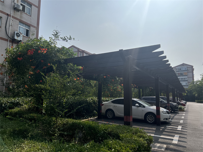凌霄花架下的停車位。 人民網(wǎng)記者 王文娟攝