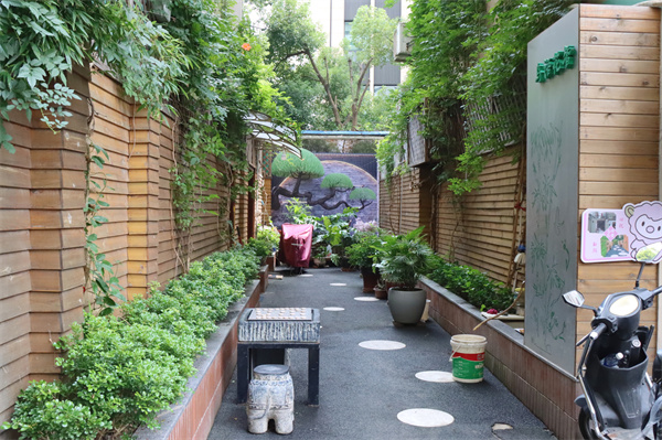五里橋街道春江小區(qū)居民的巧思“點(diǎn)亮”幸福生活。 人民網(wǎng)金霄 攝