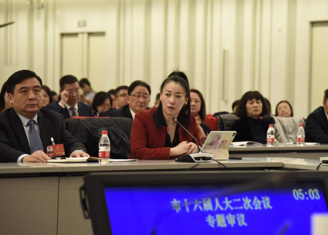 金晶在專題審議中呼吁關(guān)注殘疾人就業(yè)問題。顧海民攝