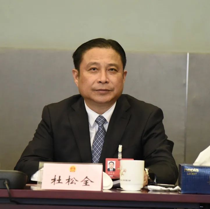 杜松全參加市人大分組討論。人民網(wǎng) 顧海民攝