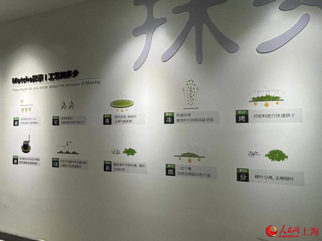 抹茶制作工藝。人民網(wǎng)記者 董志雯攝