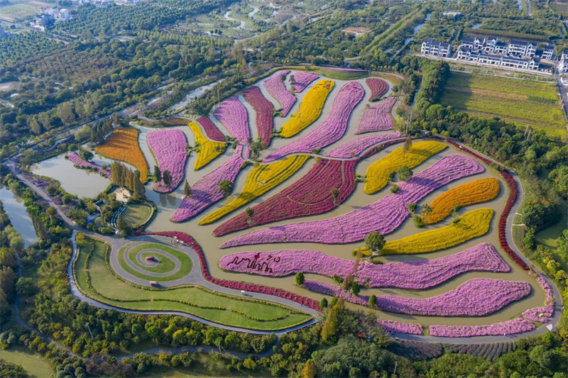 花開海上生態(tài)園