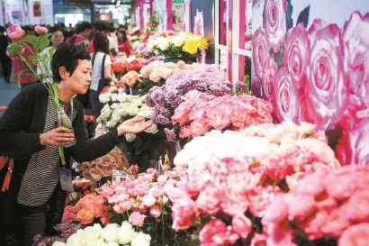 圖為參觀者在鮮花展品前駐足欣賞。 記者 海沙爾 攝