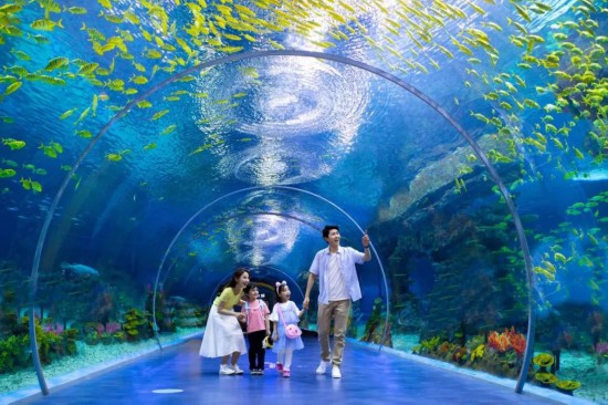 海底隧道一家四口無桃花.jpg